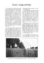 giornale/UM10003065/1927/unico/00000257