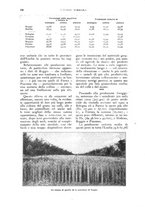 giornale/UM10003065/1927/unico/00000260