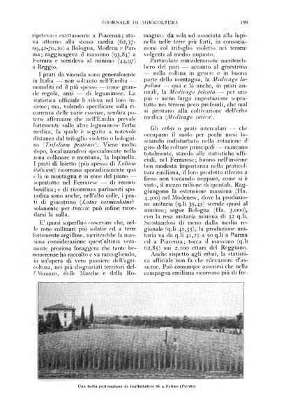 L'Italia agricola