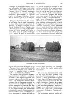 giornale/UM10003065/1927/unico/00000263