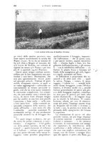 giornale/UM10003065/1927/unico/00000264