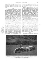 giornale/UM10003065/1927/unico/00000265