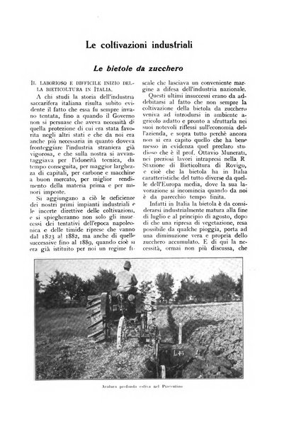 L'Italia agricola