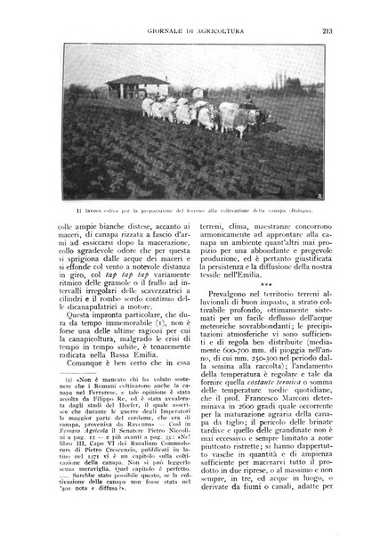 L'Italia agricola