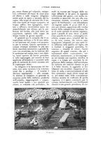 giornale/UM10003065/1927/unico/00000278