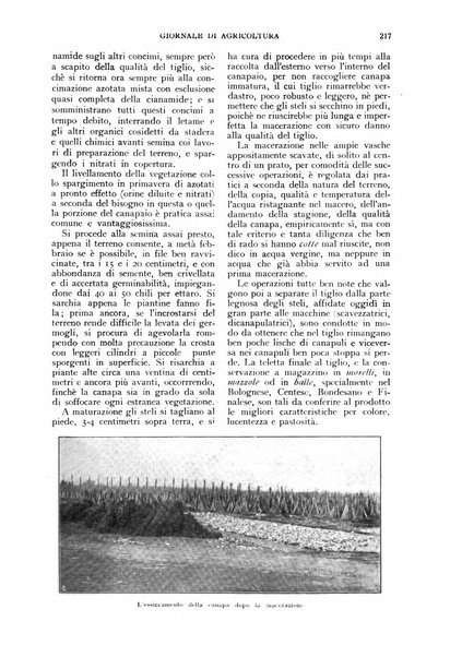 L'Italia agricola