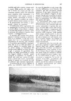 giornale/UM10003065/1927/unico/00000279