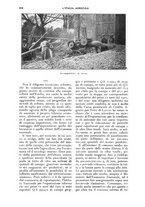 giornale/UM10003065/1927/unico/00000280