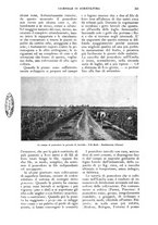 giornale/UM10003065/1927/unico/00000283