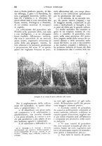 giornale/UM10003065/1927/unico/00000284