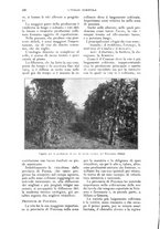 giornale/UM10003065/1927/unico/00000292