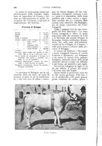 giornale/UM10003065/1927/unico/00000306