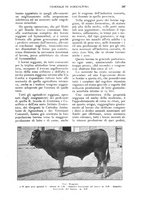 giornale/UM10003065/1927/unico/00000309