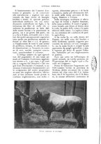 giornale/UM10003065/1927/unico/00000314