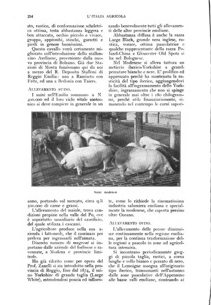 L'Italia agricola