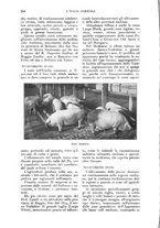 giornale/UM10003065/1927/unico/00000316