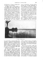 giornale/UM10003065/1927/unico/00000347