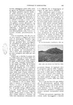 giornale/UM10003065/1927/unico/00000407