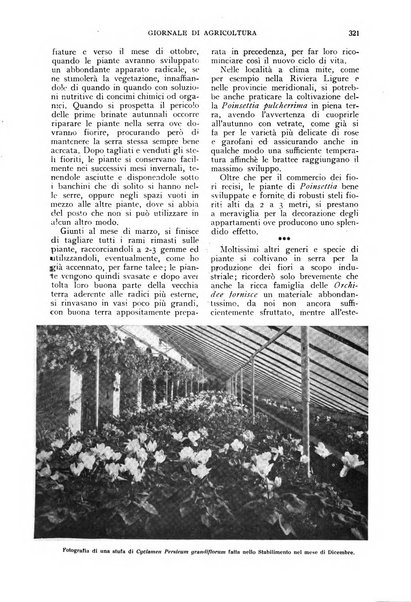 L'Italia agricola