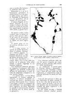 giornale/UM10003065/1927/unico/00000433