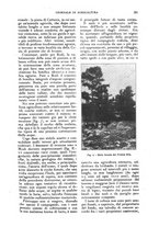 giornale/UM10003065/1927/unico/00000457