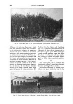 giornale/UM10003065/1927/unico/00000460