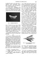 giornale/UM10003065/1927/unico/00000463