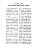 giornale/UM10003065/1927/unico/00000466