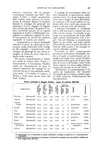 L'Italia agricola