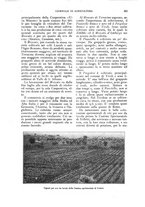 giornale/UM10003065/1927/unico/00000525