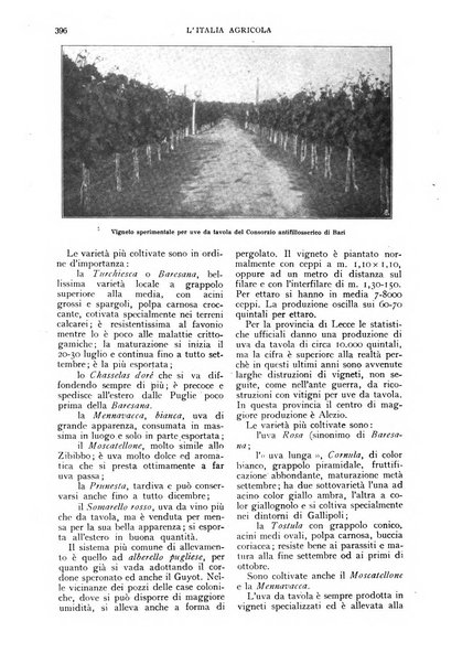 L'Italia agricola