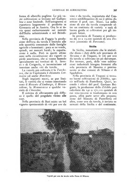 L'Italia agricola