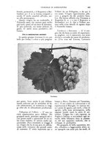 giornale/UM10003065/1927/unico/00000537