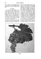 giornale/UM10003065/1927/unico/00000542