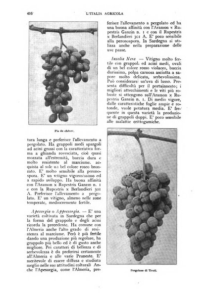 L'Italia agricola