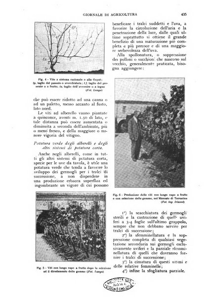 L'Italia agricola