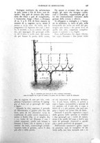 giornale/UM10003065/1927/unico/00000577