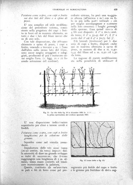 L'Italia agricola