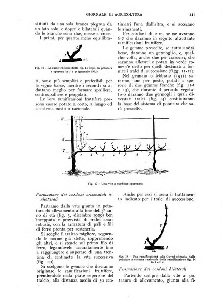 L'Italia agricola