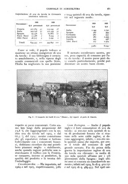 L'Italia agricola