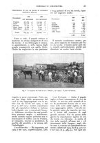 giornale/UM10003065/1927/unico/00000611