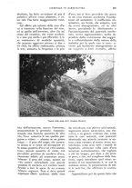 giornale/UM10003065/1927/unico/00000643