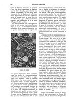 giornale/UM10003065/1927/unico/00000644