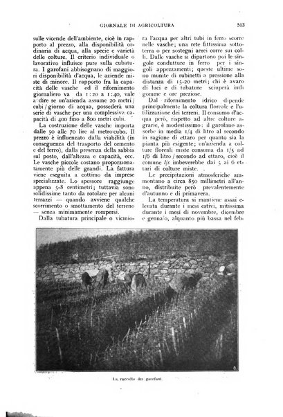 L'Italia agricola