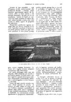 giornale/UM10003065/1927/unico/00000671