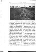 giornale/UM10003065/1927/unico/00000706