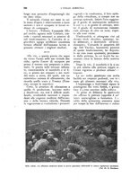 giornale/UM10003065/1927/unico/00000754