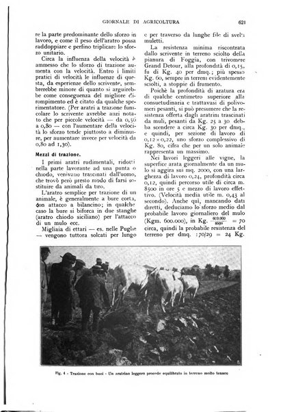 L'Italia agricola