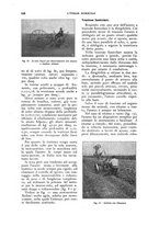 giornale/UM10003065/1927/unico/00000828