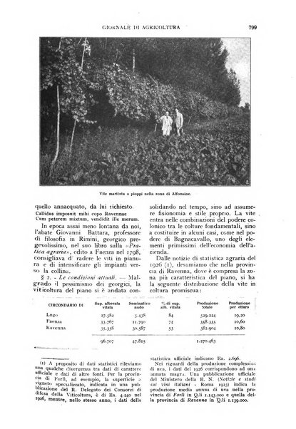 L'Italia agricola